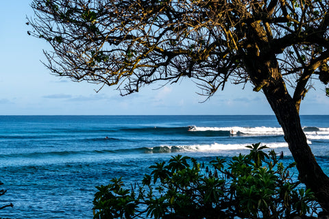 Wave Check: Chuns
