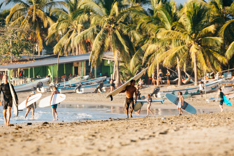 Airline Surfboard Fees for Mexilogfest 2021